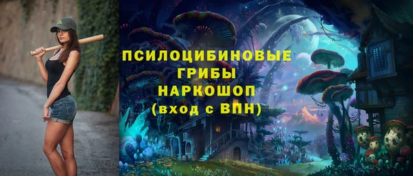 дмт Алексин
