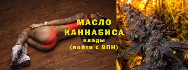 дмт Алексин