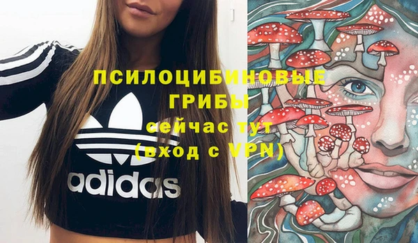 дмт Алексин